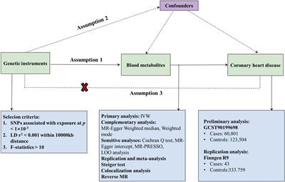 Circulating metabolites and coronary heart disease: a bidirectional Mendelian randomization